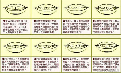 牙齒面相學|2024年你的牙齒面相代表什麼？倒及牙、哨牙⋯ 